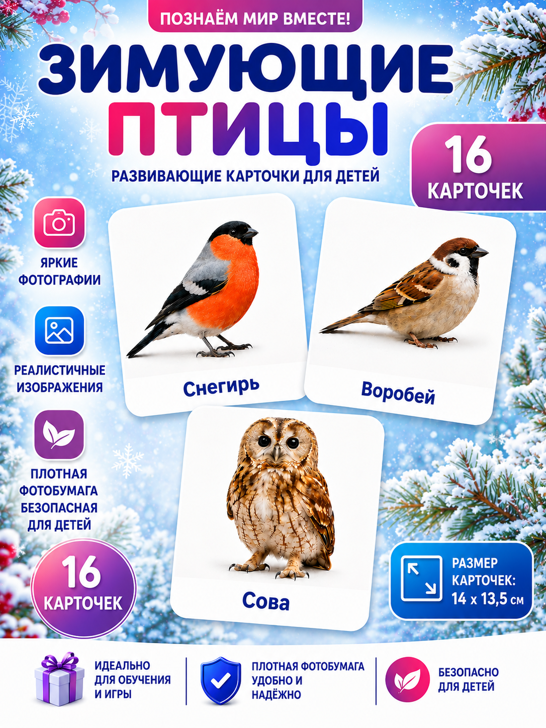 Развивающие карточки Зимующие птицы